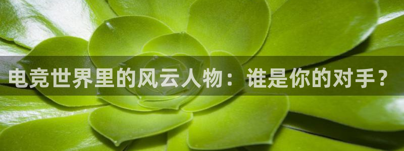 9255tv直播nba在线直播：电竞世界里的风云人物：谁是你的对手？