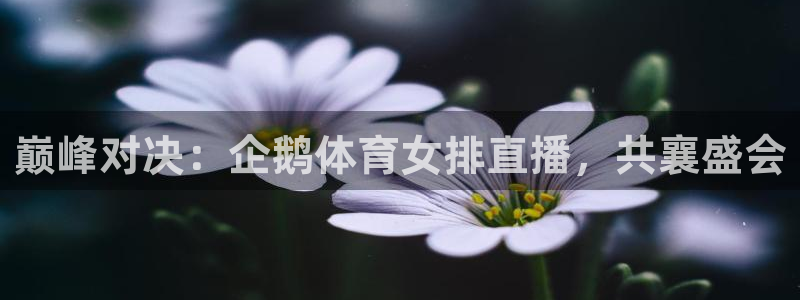 9255tv直播无插件nba：巅峰对决：企鹅体育女排直播，共襄盛会