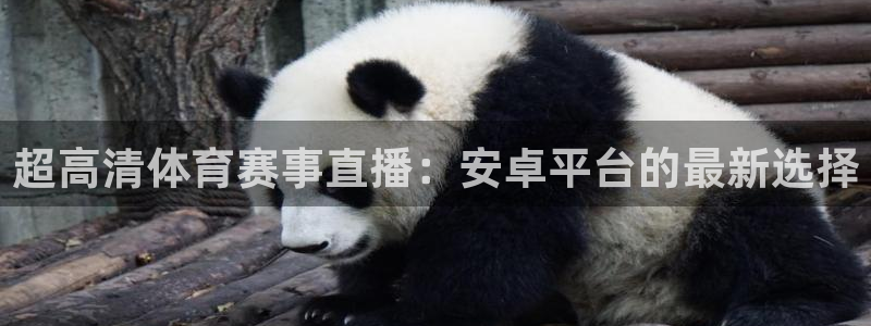 9255tv直播nba在线直播：超高清体育赛事直播：安卓平台的最新选择