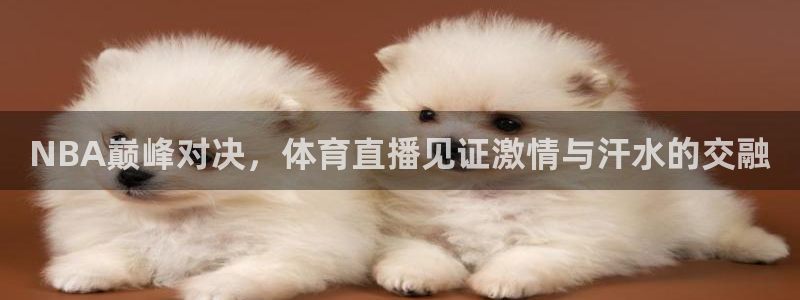9255tv直播无插件nba：NBA巅峰对决，体育直播见证激情与汗水的交融