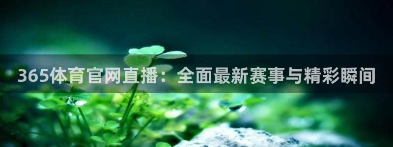 9255tv直播无插件nba：365体育官网直播：全面最新赛事与精彩瞬间