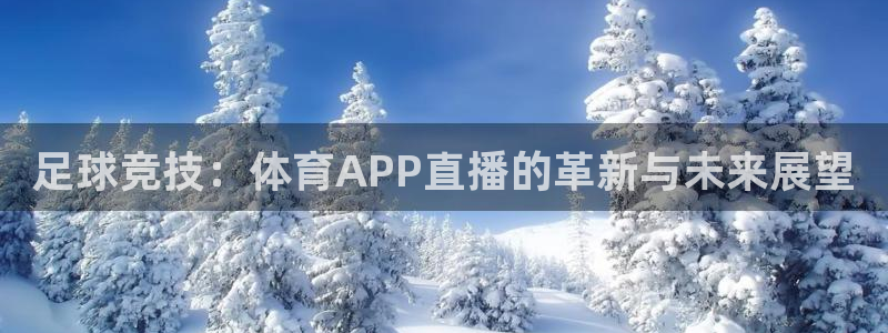 9255tv直播无插件nba：足球竞技：体育APP直播的革新与未来展望