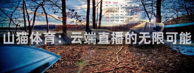 9255tv直播nba在线观看：山猫体育：云端直播的无限可能
