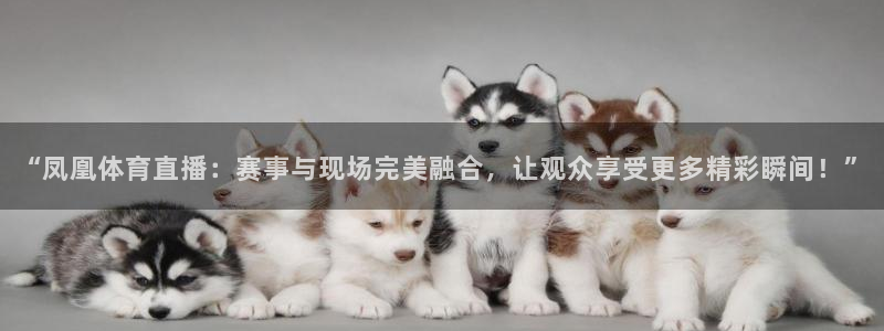 9255tv直播nba在线直播：“凤凰体育直播：赛事与现场完美融合，让观众享受更多精彩瞬间！”