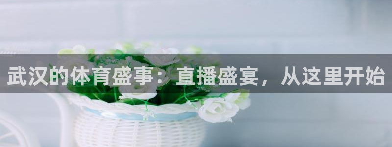 9255tv直播无插件nba：武汉的体育盛事：直播盛宴，从这里开始